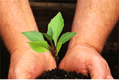Green Home Builders Colorado