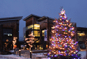 Three Springs Events