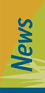 news section icon